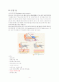 성인간호학실습_외이도염 [간호진단 8개 & 간호과정 3개] 4페이지
