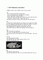 성인간호학실습 케이스스터디 (간농양) [간호진단 및 간호과정 3개] 4페이지