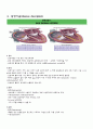 성인간호학실습 케이스스터디 (심방세동) [간호진단 및 간호과정 4개] 4페이지