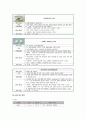 아동간호학실습 케이스스터디 (헤노흐 쇤라인 자반병) [간호진단 및 간호과정 2개] 9페이지