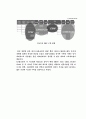 GS홈쇼핑 ERP 도입 사례연구 25페이지
