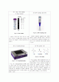 제한효소를 이용한 Restriction of DNA_예비레포트 8페이지