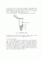 중합효소연쇄반응 PCR (Polymerase Chain Reaction)_예비레포트 [A+] 4페이지