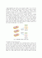 형질전환 실험_Transformation_예비레포트 [A+] 5페이지