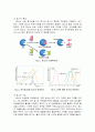 효소의 활성 실험_Enzyme activity assay_예비레포트 [A+] 2페이지