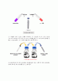 효소의 활성 실험_Enzyme activity assay_예비레포트 [A+] 12페이지