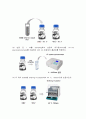 효소의 활성 실험_Enzyme activity assay_예비레포트 [A+] 13페이지