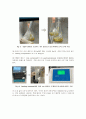 LB배지를 이용한 배양_Liquid culture & Expression_결과레포트 5페이지