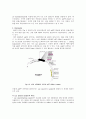 LB배지를 이용한 배양_Liquid culture & Expression_결과레포트 7페이지
