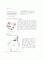 중합효소연쇄반응 PCR (Polymerase Chain Reaction)_결과레포트 2페이지
