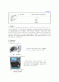 생물화학공학이론및 실험_ Miniprep_PCR_Restriction_Transformation_Liquid culture_Enzyme activity 전 실험 과정 통합 실험 과정_ 결과레포트 [A+] 43페이지