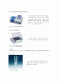 생물화학공학이론및 실험_ Miniprep_PCR_Restriction_Transformation_Liquid culture_Enzyme activity 전 실험 과정 통합 실험 과정_ 결과레포트 [A+] 44페이지