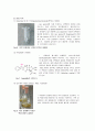 생물화학공학이론및 실험_ Miniprep_PCR_Restriction_Transformation_Liquid culture_Enzyme activity 전 실험 과정 통합 실험 과정_ 결과레포트 [A+] 45페이지