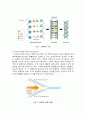 생물화학공학이론및 실험_ Miniprep_PCR_Restriction_Transformation_Liquid culture_Enzyme activity 전 실험 과정 통합 이론_ 예비레포트 [A+] 16페이지