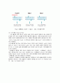 생물화학공학이론및 실험_ Miniprep_PCR_Restriction_Transformation_Liquid culture_Enzyme activity 전 실험 과정 통합 이론_ 예비레포트 [A+] 31페이지