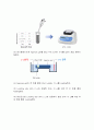 생물화학공학이론및 실험_ Miniprep_PCR_Restriction_Transformation_Liquid culture_Enzyme activity 전 실험 과정 통합 이론_ 예비레포트 [A+] 36페이지
