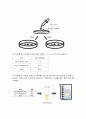 생물화학공학이론및 실험_ Miniprep_PCR_Restriction_Transformation_Liquid culture_Enzyme activity 전 실험 과정 통합 이론_ 예비레포트 [A+] 48페이지