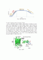 생물화학공학이론및 실험_ Miniprep_PCR_Restriction_Transformation_Liquid culture_Enzyme activity 전 실험 과정 통합 이론_ 예비레포트 [A+] 54페이지