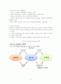 Auction의 e- business 모델링 분석에 의한 인터넷 쇼핑몰의 성공요인에 대한 연구 18페이지
