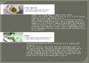 조경계획론 11페이지