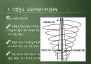 학문중심 & 인본주의 교육과정 [PPT 발표자료] 13페이지