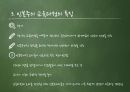 학문중심 & 인본주의 교육과정 [PPT 발표자료] 27페이지