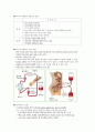 성인간호학 주제학습 (복막투석) 4페이지