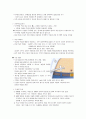 성인간호학 주제학습 (복막투석) 7페이지