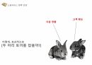 소셜 커머스 22페이지