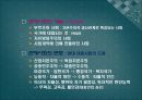 유럽의 정치사 13페이지