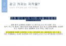 [A+ 레포트][광고 마케팅] 광고 심의와 저작권 PPT 36페이지