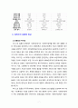 복지국가의 유형을 분류하고 비교하시오 7페이지