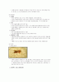 지역사회간호학 케이스스터디 (강릉시) [간호진단 3개 & 간호과정 1개] 15페이지