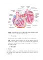 성인간호학 주제학습 [EKG, 심도자술] 8페이지