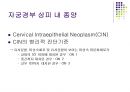 여성간호학 자궁경부암 [PPT 발표자료] 6페이지