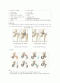 성인간호학실습 케이스스터디 (대퇴골두 무혈성 괴사) [간호진단 및 간호과정 4개] 6페이지