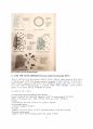 분석화학 기기분석 High Performance Liquid Chromatography 실험 보고서 (학부 수석의 레포트 시리즈) 3페이지