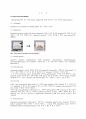 분석화학 기기분석 Paper-based microfluidic 실험 보고서 (학부 수석의 레포트 시리즈) 2페이지