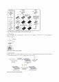 분석화학 기기분석 Paper-based microfluidic 실험 보고서 (학부 수석의 레포트 시리즈) 3페이지