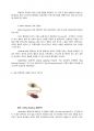 Delfina Delettrez _ 럭셔리 주얼리 브랜드 보고서 2페이지