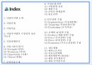 창업계획서 - 성인용품 온라인쇼핑몰 창업 사업계획서 PPT 2페이지