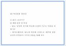 창업계획서 - 성인용품 온라인쇼핑몰 창업 사업계획서 PPT 20페이지