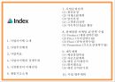 사업계획서 - 여성전용 기능성 수제화 온라인쇼핑몰 창업계획서 PPT 2페이지