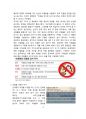 리얼돌 사회적 이슈와 대책[리얼돌, Real Doll,크리퍼,성관념,리얼덜,섹스인형] 4페이지