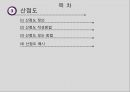 17 조별과제 QC 7가지 Tool 히스토그램 줄기잎 그래프 산점도 정리 3페이지