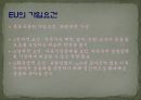 [국제기구론 A+] EU 연합과 터키의 회원국 가입에 대한 분석 및 전망 7페이지