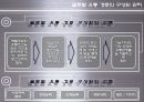 [글로벌 유통] 기업의 글로벌 유통 전략 사례 13페이지