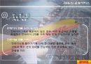[글로벌 유통] 기업의 글로벌 유통 전략 사례 33페이지