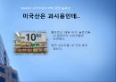 [마케팅 광고] 슬로건 마케팅의 성공과 실패 사례에 대한 분석 26페이지