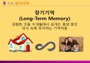 [마케팅 전략] 브랜드 이미지와 제품 포지셔닝을 통한 마케팅 전략 분석 12페이지